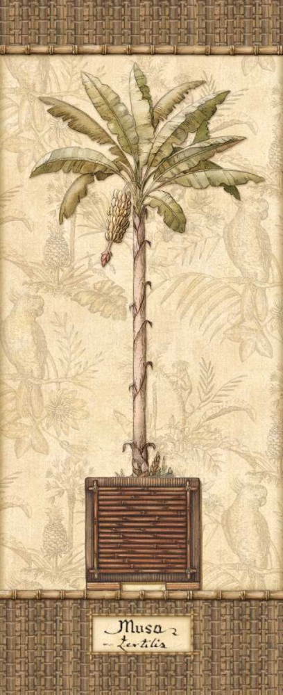 Botanical Palm IV