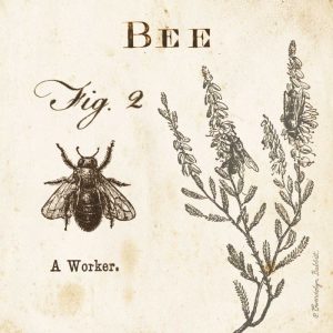 Bee Fig 2