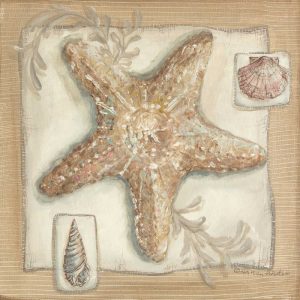 Sandy Starfish