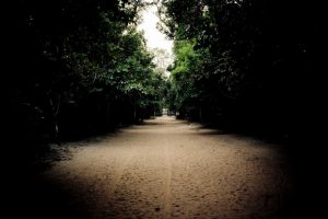 Pathway at Preah Khan