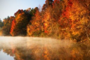 Autumn Mist IV
