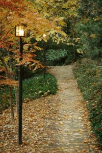 Autumn Path I