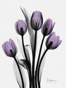 Five Tulips in Purple