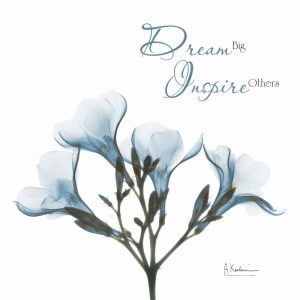 Oleander Dream