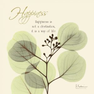 Happiness Eucalyptus L294