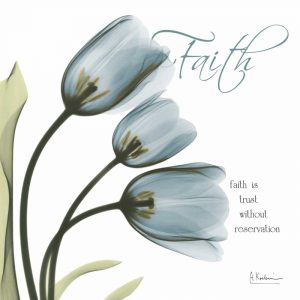 Tulips Faith