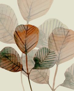 Brown Leaves 1