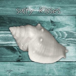 Salty Kisses Aqua Boards