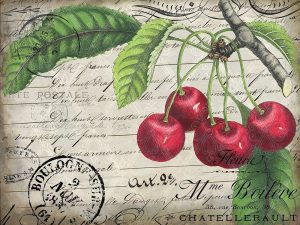 Vintage Cherries