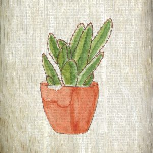 Spring Cactus 1