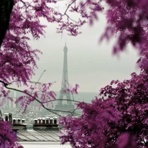 Through The Paris Foliage 1