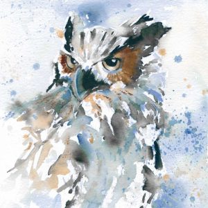 Owl On Blue