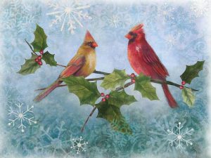 Winter Cardinal Duet II
