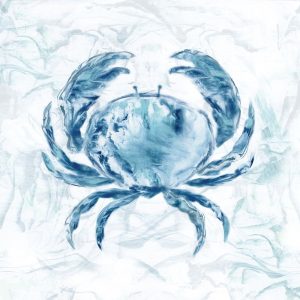 Blue Marble Coast Crab