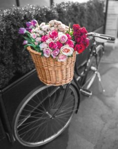 Basket of Flowers I