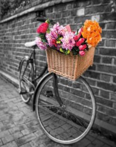 Basket of Flowers II