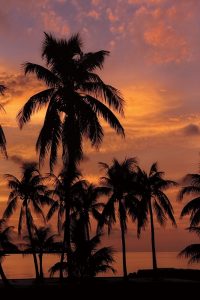 Tropical Sunsets C