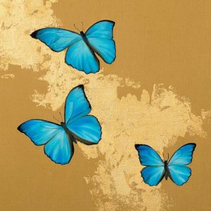 Cerulean Butterfly II