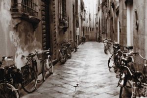 Lucca Bikes