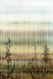 Wheat Fields – Mini