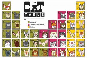 The Cat Table