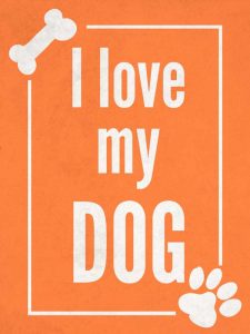 Love my Dog Orange