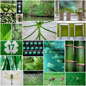 Forest Green Collage