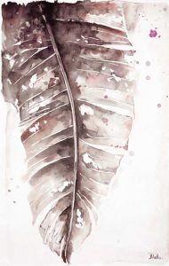 Muted Watercolor Plantain Leaves I