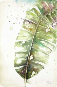 Watercolor Plantain Leaves II