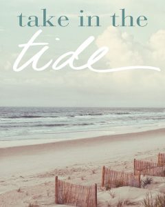 Take in the Tide