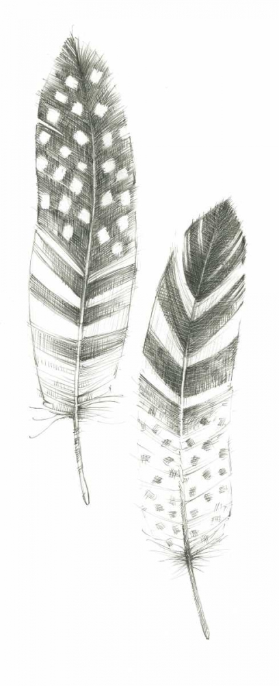 Feather Sketches VIII