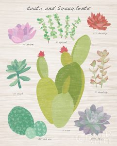 Succulent and Cacti Chart III on Wood