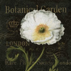 Botanical Garden II