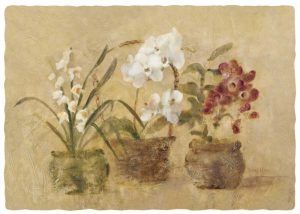 Collection of Orchids-48×35.5