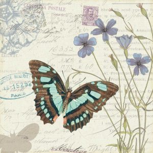 Papillon Tales I