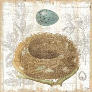Botanical Nest III