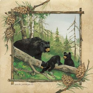 Black Bears IV