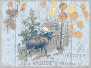 Mooses World Tan