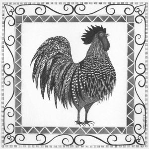 BandW Rooster
