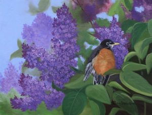 Lilacs Robin