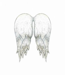 White Angel Wings