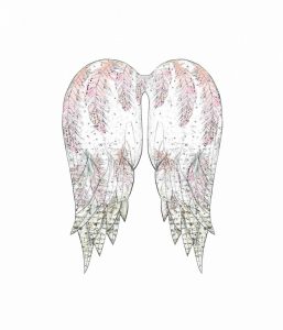 Wings with Pink Feathers