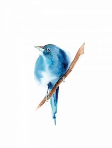 Blue Bird III
