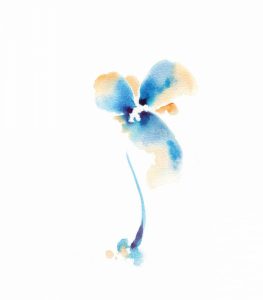 One Blue Flower