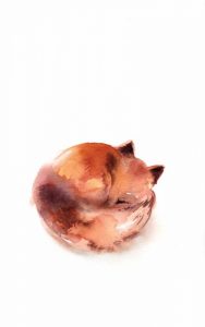 Curled Fox