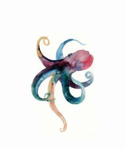 Octopus in Color