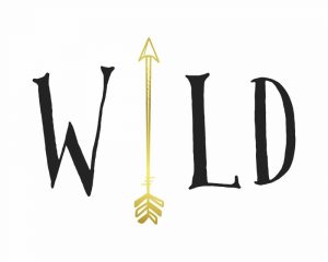Wild Arrow