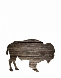 Wood Buffalo