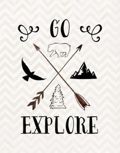 Go Explore