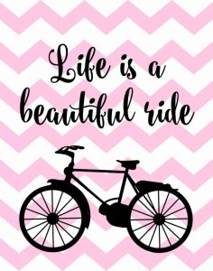 Bicycle Quote